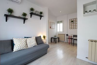Luminous 2-bedroom apartment in El Viso Madrid